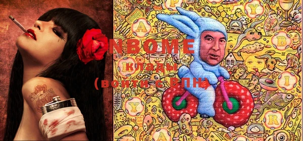 PSILOCYBIN Баксан