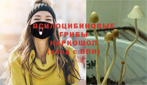 бутират Переславль-Залесский