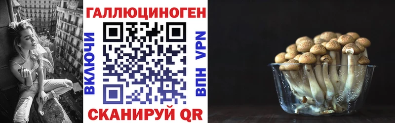 Галлюциногенные грибы Magic Shrooms  MEGA ссылки  Ленинск 